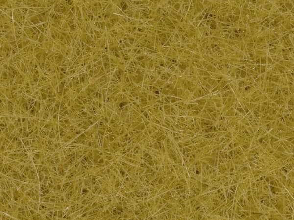 NOCH 8362, Beige