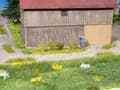 Miniatyrbild 2 av 5: NOCH Grass Tufts “Wild Flowers”, Multifärg