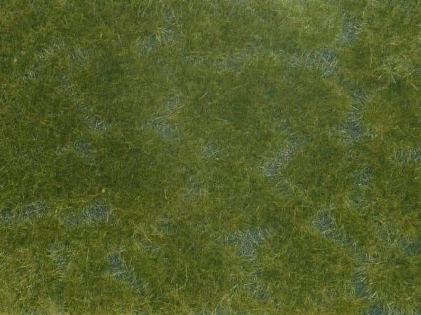 NOCH F7252, Grön Grön
