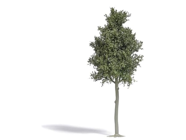 Busch 3798 Puupyökki 1 kpl