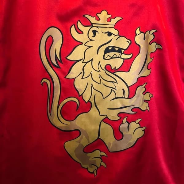 Noble Knight Röd kappa för utklädnad
