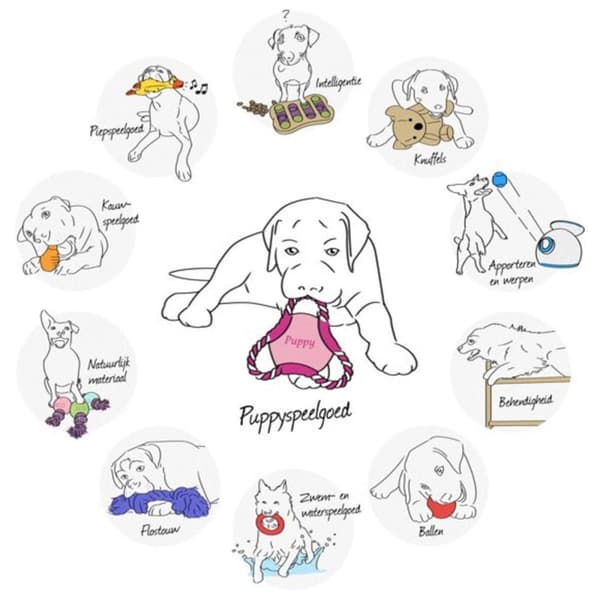 Trixie Dog Toy Dog Activity Flip Board