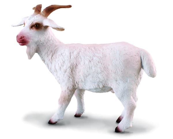 COLLECTA (M) Billy Goat  88212