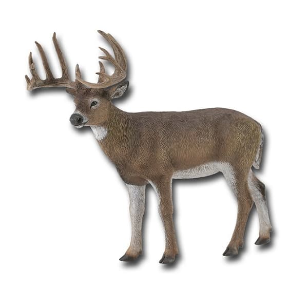 COLLECTA White Tailed deer (L), 88832