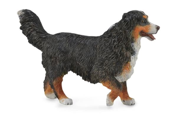 Collecta Bernese mountain dog  L, 88801