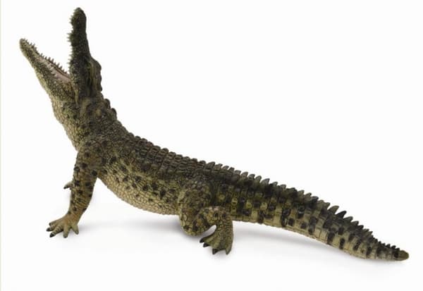COLLECTA Nile Crocodile XL, 88725