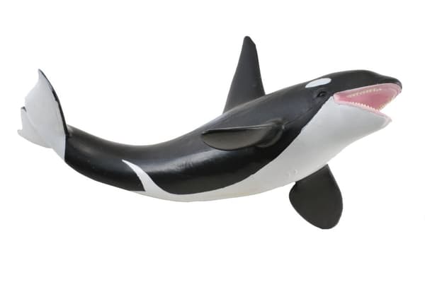 COLLECTA (XL) Orca 88043