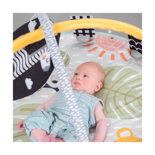 Taf Toys Savannah 360 Aktivitetsgym