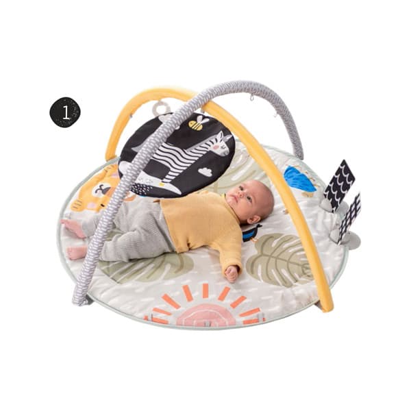 Taf Toys Savannah 360 Aktivitetsgym