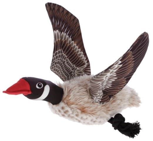 Beaphar rentouttava kaulapanta koirille - 65 cm