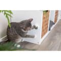 Miniatyrbillede 4 af 4: TRIXIE Katteurtbold - legetøj til kat