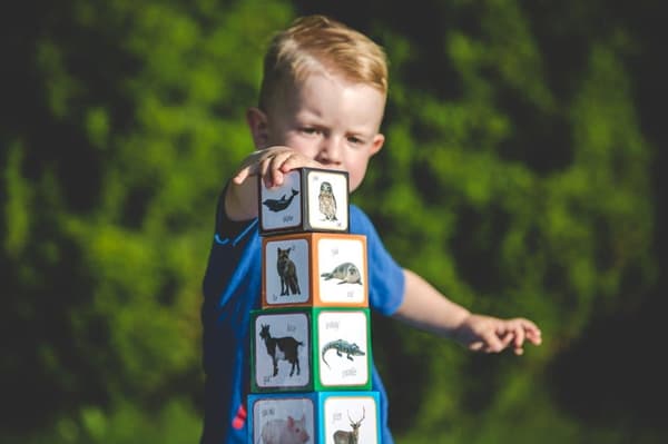 Dyr spiller pyramide - Montessori Educational Tower