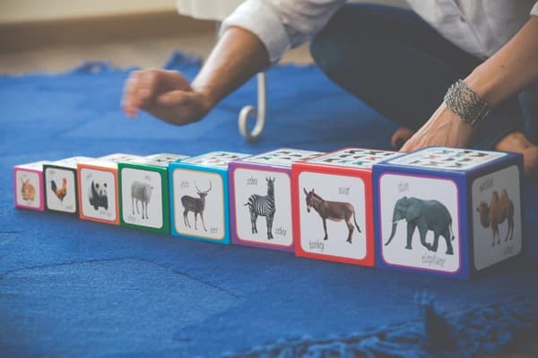 Dyr spiller pyramide - Montessori Educational Tower