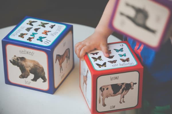 Dyr spiller pyramide - Montessori Educational Tower