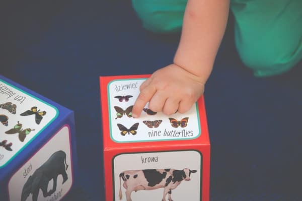 Dyr spiller pyramide - Montessori Educational Tower