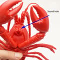 Thumbnail 3