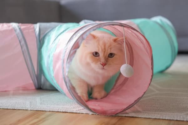 KERBL Stor Trekantet Tunnel med Plysbold - Kattelegetøj - 80x50x25 cm