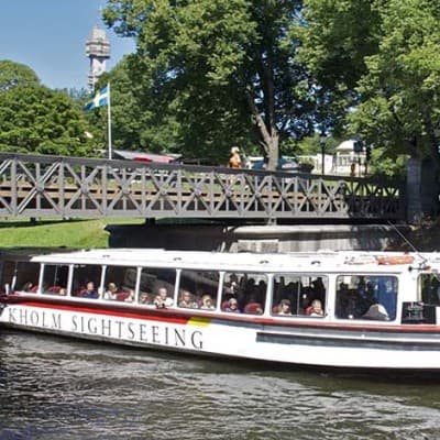 Djurgården Runt i Båt – vuxen