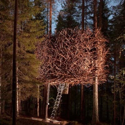 The Bird's Nest - Treehotel för Två