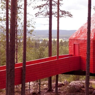 The Blue Cone - Treehotel för Två