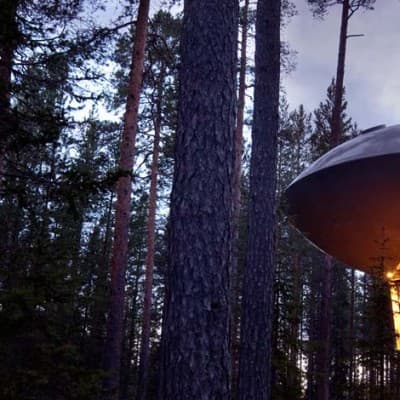 The UFO - Treehotel för Två