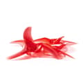 Miniatyrbilde 2 av 2: EMAX Avan Rush 2.5 inch Prop Red 2CW+2CCW