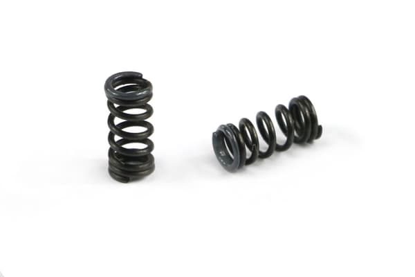 SER-401713 Spring Grey C10.9 4-X (2)