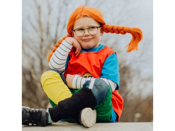 Pippi Parykk