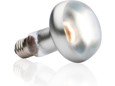 HAGEN EXOTERRA GLÖDLAMPA INTENSIV SPOT 50W