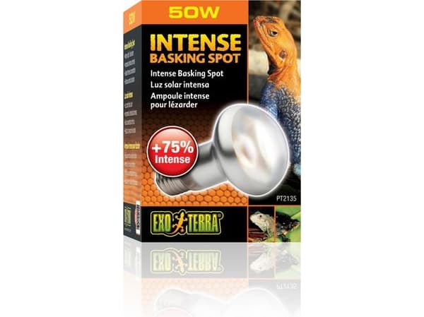 HAGEN EXOTERRA GLÖDLAMPA INTENSIV SPOT 50W