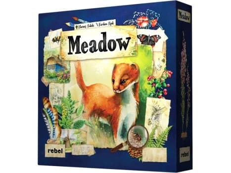 Meadow