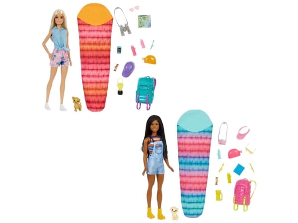 Barbie Camping doll with accessories (1 pcs) - Assorted