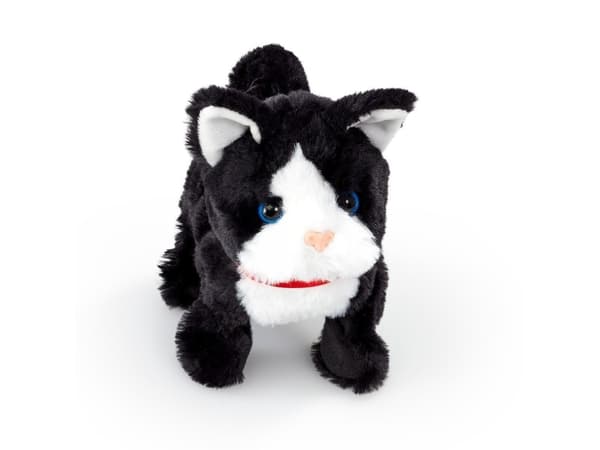 Happy Pets Pretty Little Kitty kissa