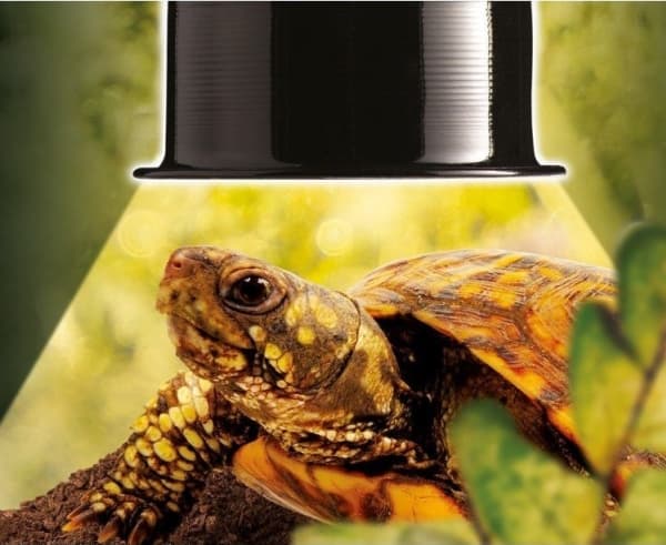 Exo Terra Reptile Dome aluminiumreflektor, upp till 75W, S, 16 x 21,5 x 15,5 cm