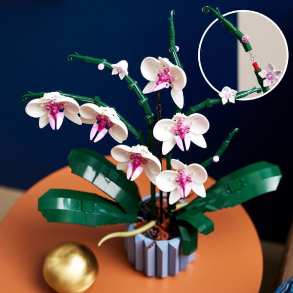 LEGO Botanical 10311 - Orkidé