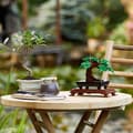 Pikkukuva 5 / 7: LEGO Botanical 10281 - Bonsaipuu