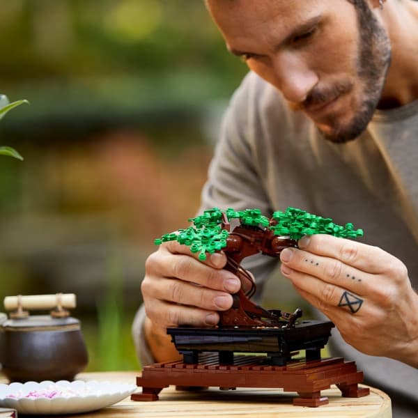 LEGO Botanical 10281 - Bonsaipuu