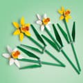 Pikkukuva 5 / 8: LEGO Botanical 40747 - Narsissit