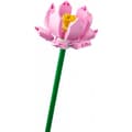 Miniatyrbild 5 av 11: LEGO Lotusblommor 40647 Bygg- och lekset från 8 år (220 delar)