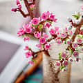 Pikkukuva 4 / 11: LEGO Botanical 40725 - Kirsikankukat