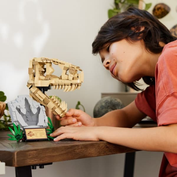 LEGO Jurassic World 76964 - Dinosaurusfossiilit: T. rexin pääkallo