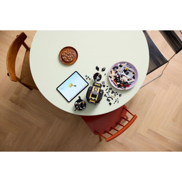 LEGO Ideas Svartvit katt, Presentidé för djurälskare 21349