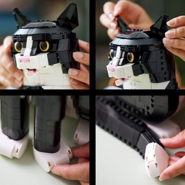 LEGO Ideas Svartvit katt, Presentidé för djurälskare 21349