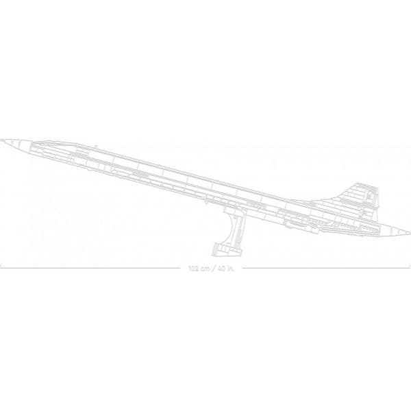 LEGO® Icons Concorde 10318 Byggeboks (2.083 dele)