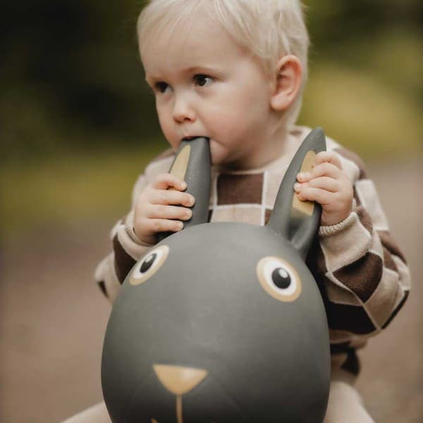 Find That Hippo Kanin