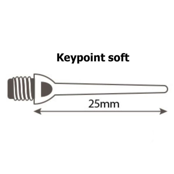 Dart Tips MASTER Keypoint mjuk 2NT