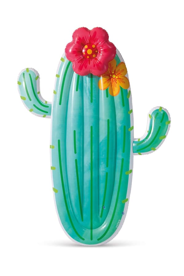 Intex - Cactus Float - (58793)