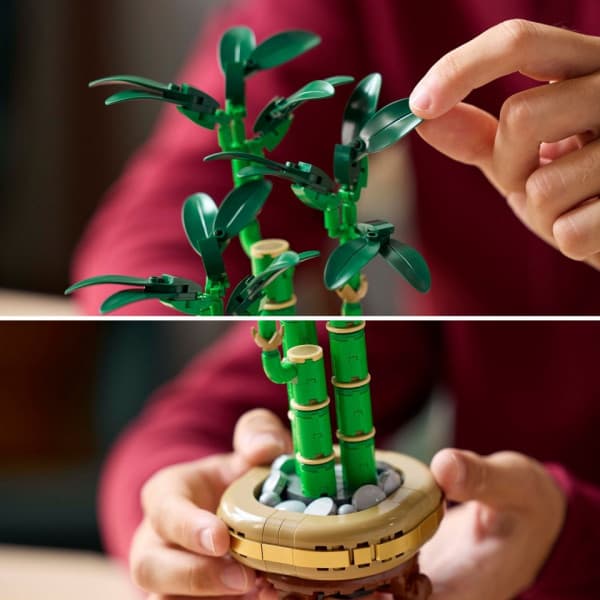 LEGO Botanicals 10344 – Lyckobambu