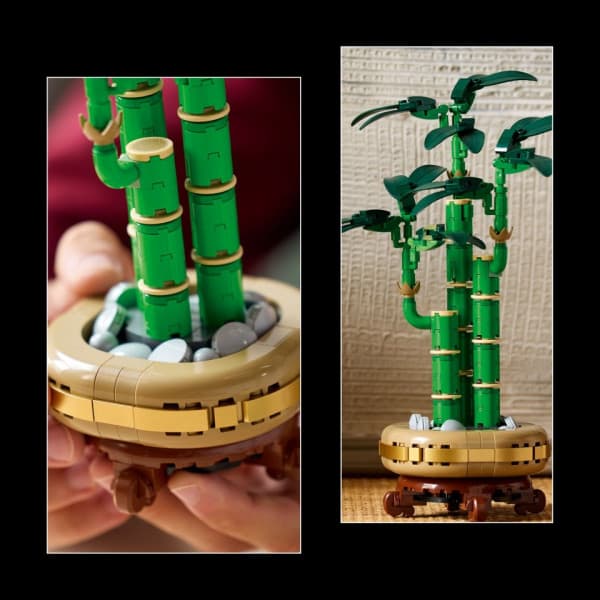 LEGO Botanicals 10344 – Lyckobambu