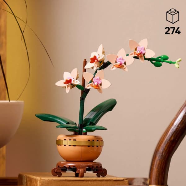 LEGO Botanicals 10343 – Miniorkidé